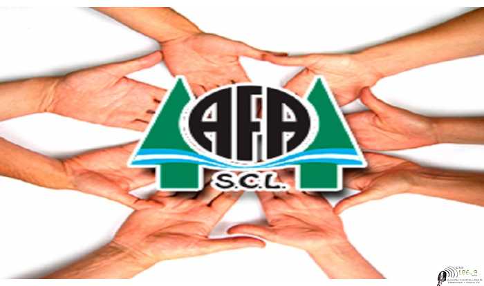 Cotizaciones A.F.A Humboldt 28/1/2021