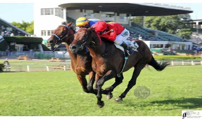 Hipódromo de San Isidro hoy el 1° gran Premio del año lo ganó Brian Enrique
