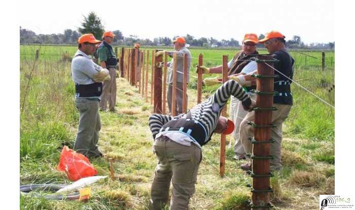 15 de marzo en memoria del natalicio de Newton se festeja el Día del Alambrador,