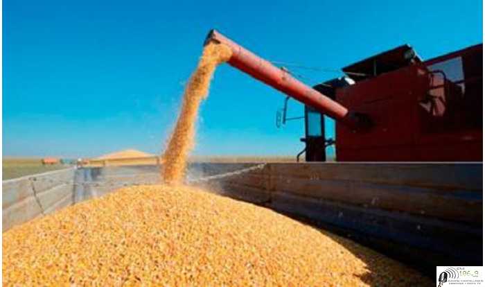 Cotización de granos,Dolar,Petroleo  varios cierre de semana  19  / 3 / 2021