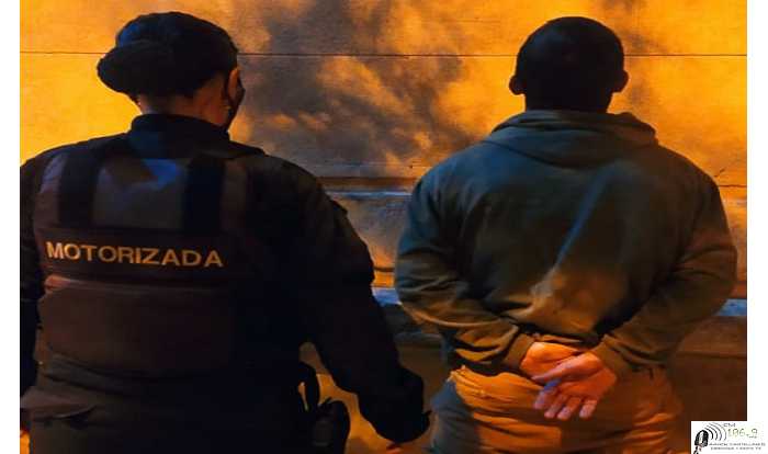 POLICIALES  29  y 30/3/2021 Dto Las Colonias  