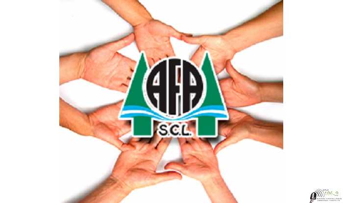 COTIZACIONES AFA HUMBOLDT 29/3/2021