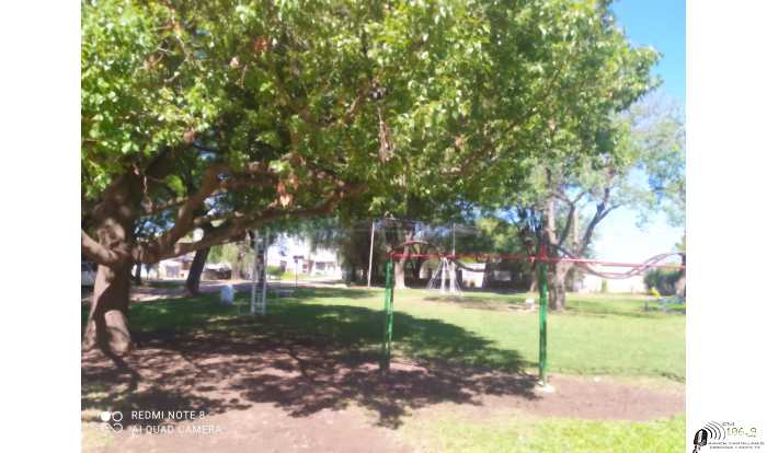 Los espacios verdes de la ciudad se cuidan y potencian