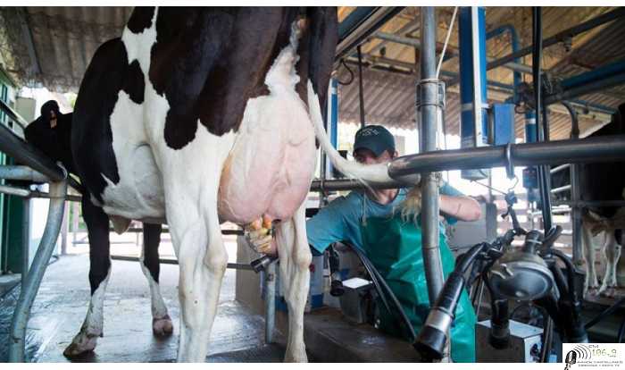 Soc Rural Rio Cuarto  