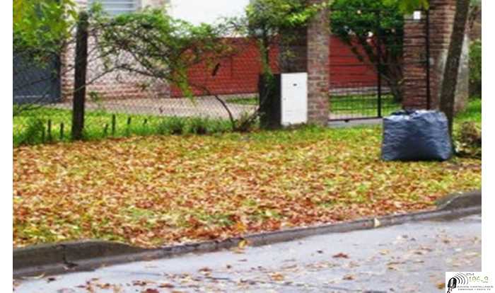 Otoño 2021 | Entrega de bolsas para hojas.