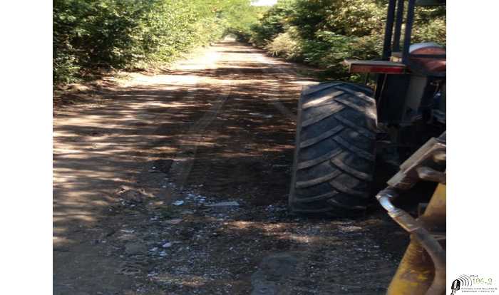 Microbasulares, todos los días se trabaja en su eliminación.