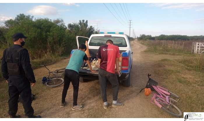Policiales aprehendidos por sustraer pollos en una granja avicola