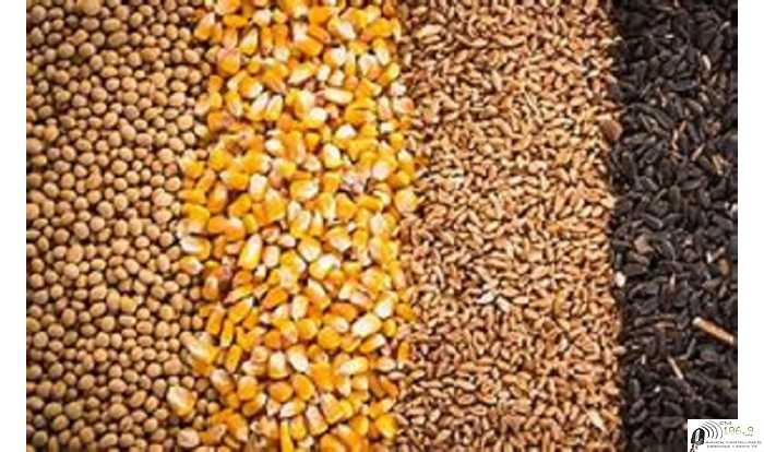 Precios varios cotizaciones del fin de semana 4/ 6 /2021 Granos, Dolar y Petróleo