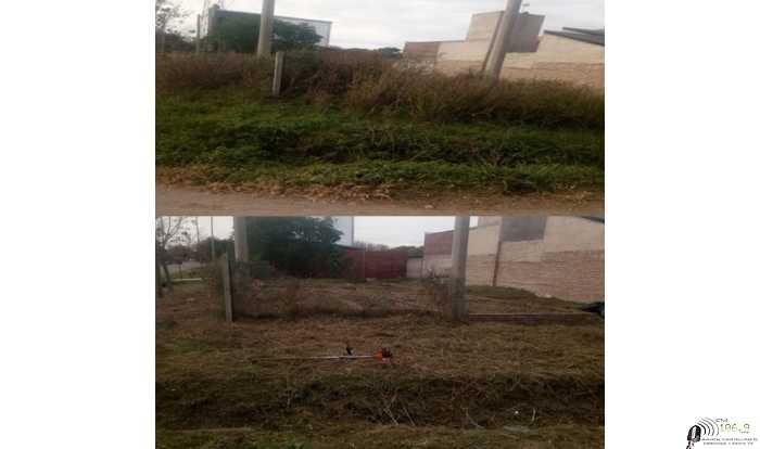 El mantenimiento de lotes, terrenos y veredas es constante.informa la Secretaría de Servicios Públicos