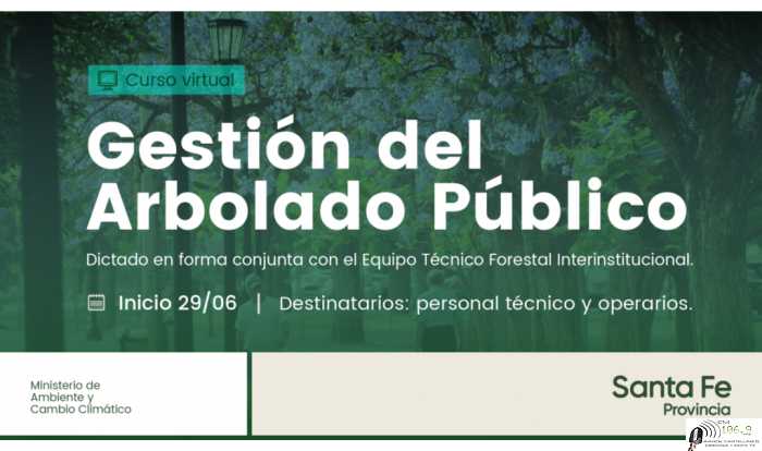 La provincia lanza un curso de gestión del arbolado público