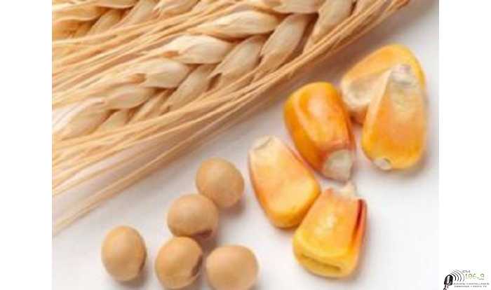 Precios varios cotizaciones del fin de semana 16/ 7 /2021 Granos , Petroleo y Dolar