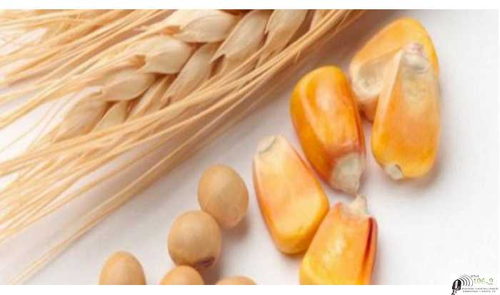 Cierres de fin de semana cotizaciones  30/7/2021  granos , petroleo,dolar 