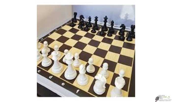 TALLERES DE AJEDREZ PARA ADULTOS.en Hogar 