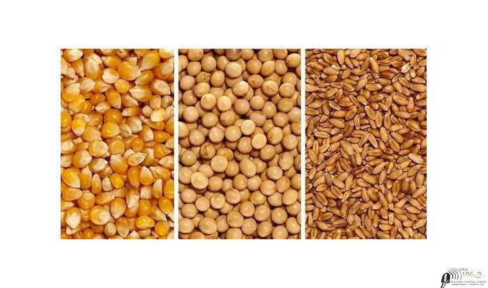 Precios varios cotizaciones del fin de semana 6/ 8 /2021 granos , petroleo , dolar