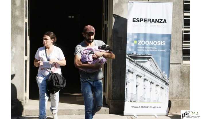 Con estrictos protocolos continúan las castraciones en los barrios.