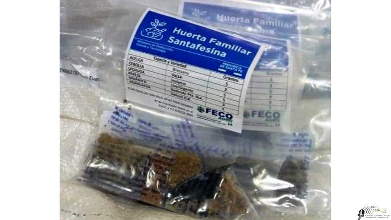 El Gobierno esperancino pone a disposición kit de semillas.