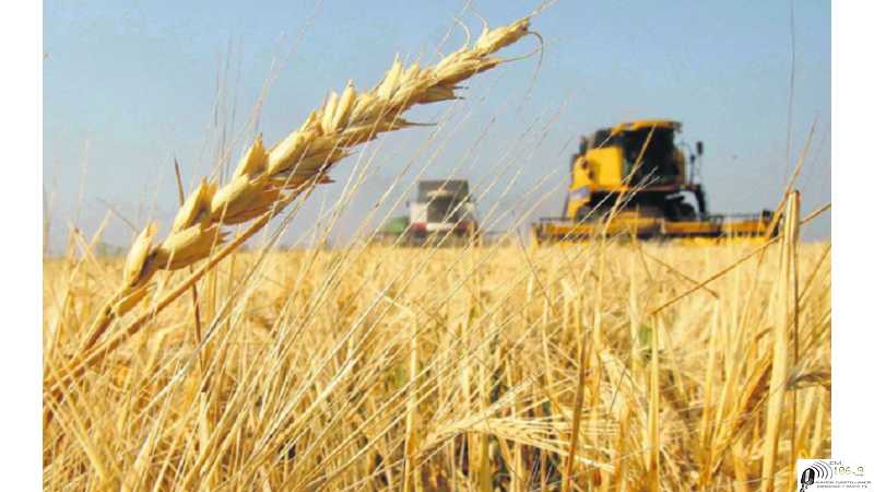 Precios varios cotizaciones del fin de semana 17/ 9 /2021 Granos , Petroleo y Dolar