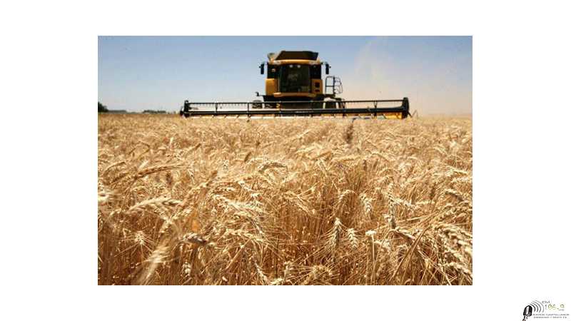 Precios varios cotizaciones del fin de semana 24/ 9 /2021  Granos -  Petroleo - Dolar