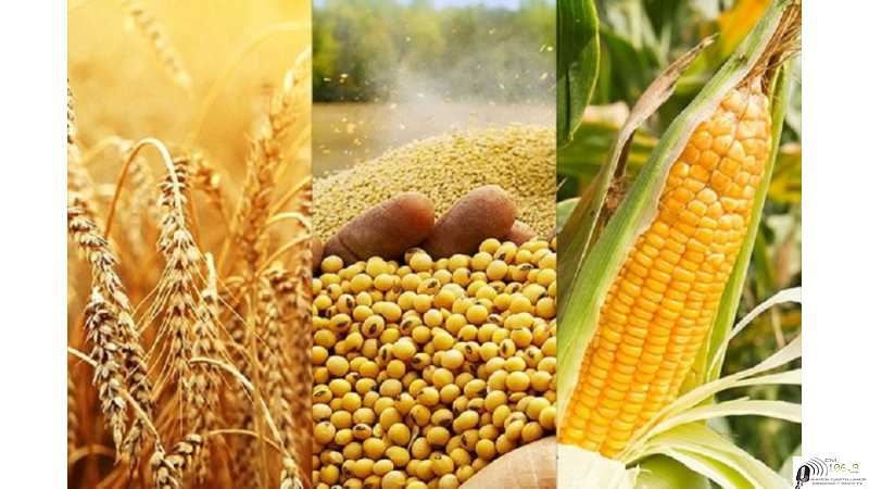 Precios varios cotizaciones del fin de semana 1°/ 10 /2021 granos, dolar y petroleo