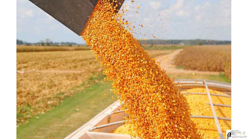 Precios fin de semana de granos varios ,dólar y petróleo Cierres 22-10-2021