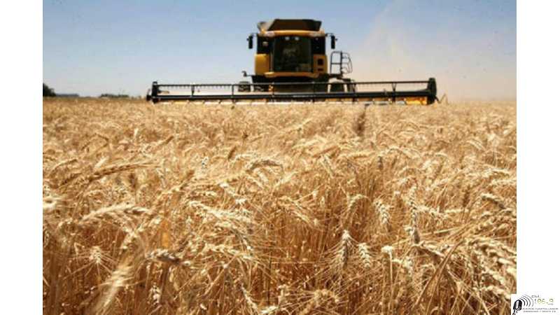 Precios varios cotizaciones del fin de semana 5 /11 /2021 Granos - Petroleo -Dolar