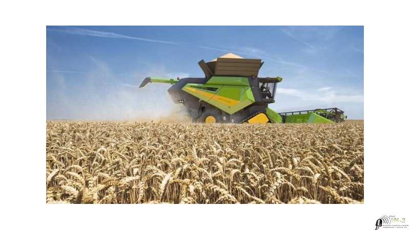 Mercado de granos valores y cotizaciones del fin de semana 19/ 11 /2021