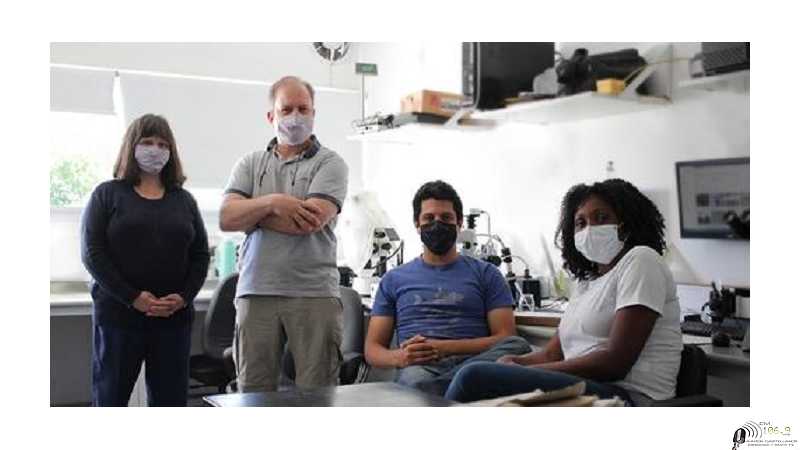 Especialistas del CONICET en CONICET La Plata trabajan para repoblar de pejerreyes la cuenca del Plata.