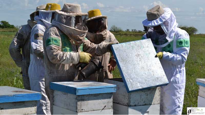  La provincia realizó un balance positivo del trabajo realizado en la Mesa de Diálogo Apícola Provincial