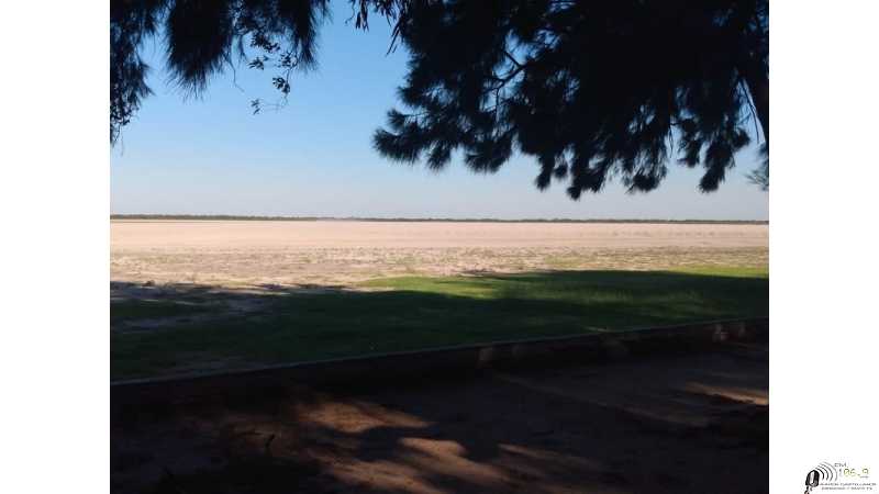 Laguna Paiva sin laguna. sequia total