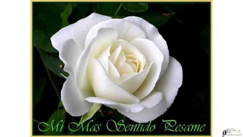 Falleció 15 de Febrero 2022 en Esperanza Rosa Elena Amaya de Dunky  69 años 