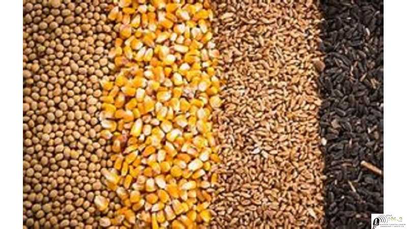 Aqui Mercado de granos valores y cotizaciones del fin de semana 18 / 2 /2022