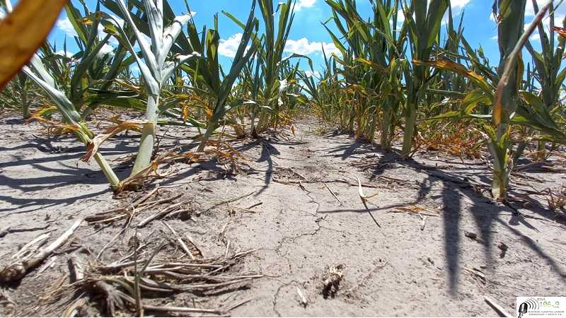  La provincia implementa una línea de financiamiento para productores afectados por la sequía