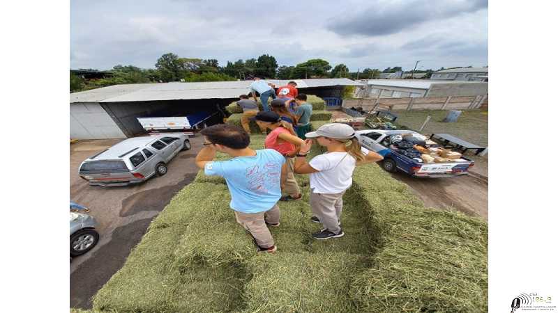 Este viernes parte de Esperanza a Corrientes lo que se contribuye para los animales tras el incendio