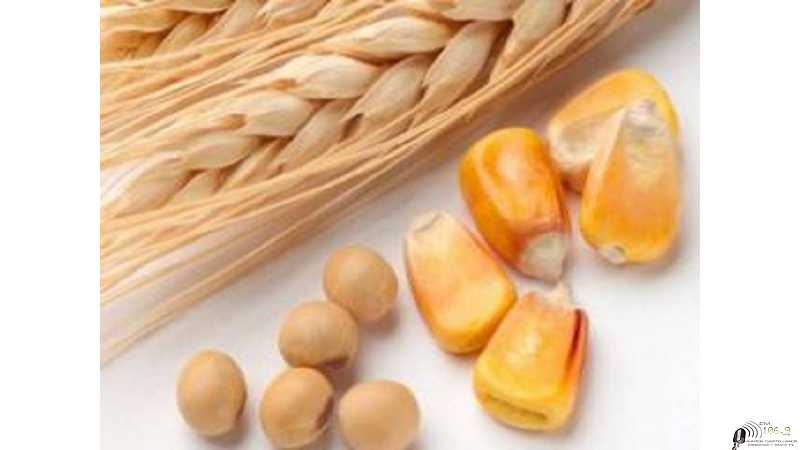 Mercado de granos valores y cotizaciones del fin de semana 25 / 2 /2022