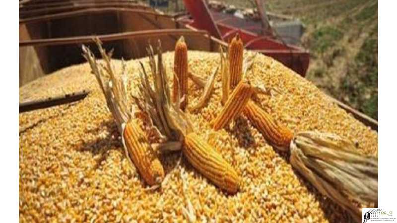 Precios fin de semana de granos varios ,dólar y petróleo Cierres 18-03-2022