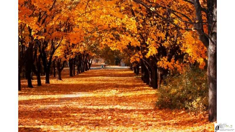 Se viene el final del verano, por lo que este 20 de marzo se producirá el Equinoccio de Otoño 2022