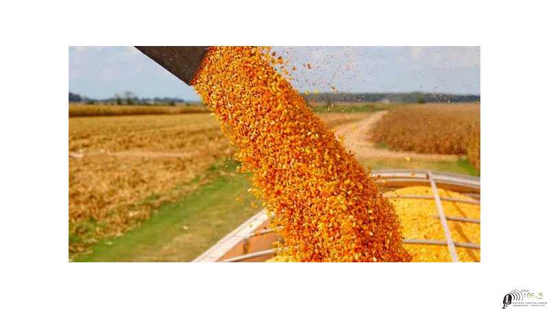 SISTEMA DE ESTIMACIONES AGRÍCOLAS AL 29 DE MARZO DE 2022