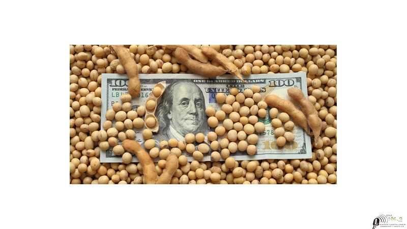 Precios fin de semana de granos varios ,dólar y petróleo Cierres 12-04-2022