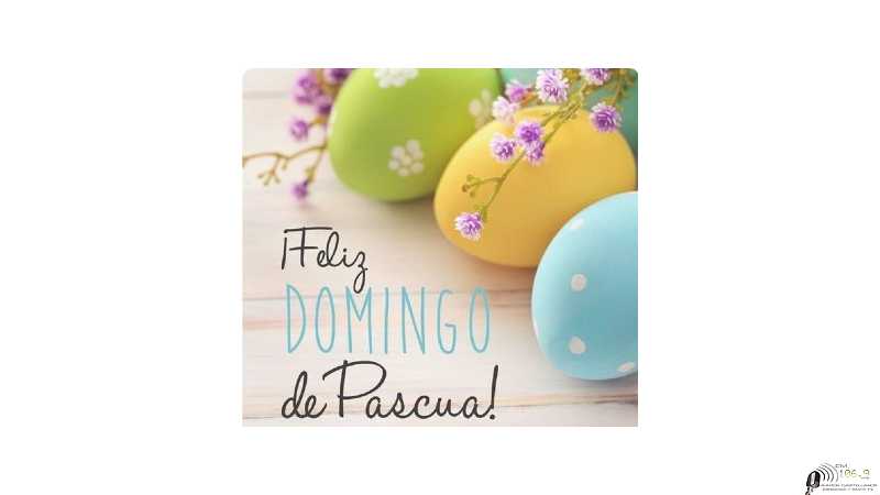 Un domingo de pascuas en la plaza de Esperanza ( ver video)