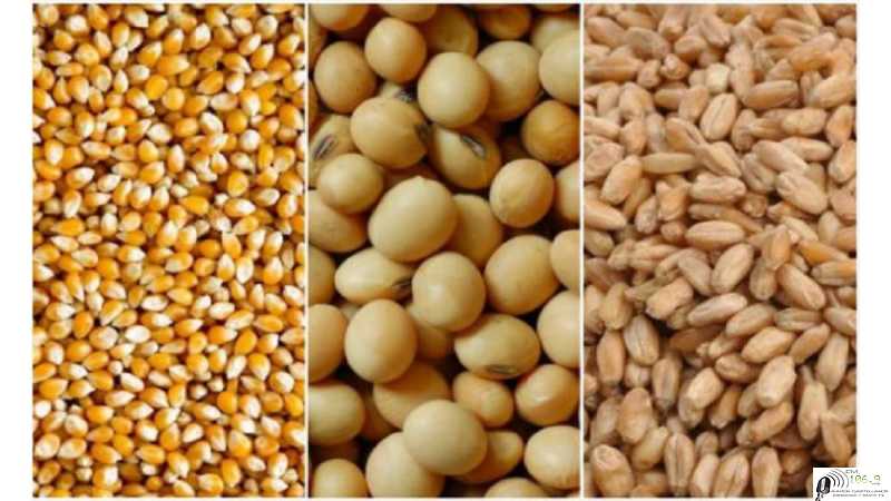 Mercado de granos valores y cotizaciones del fin de semana 13 / 5 /2022