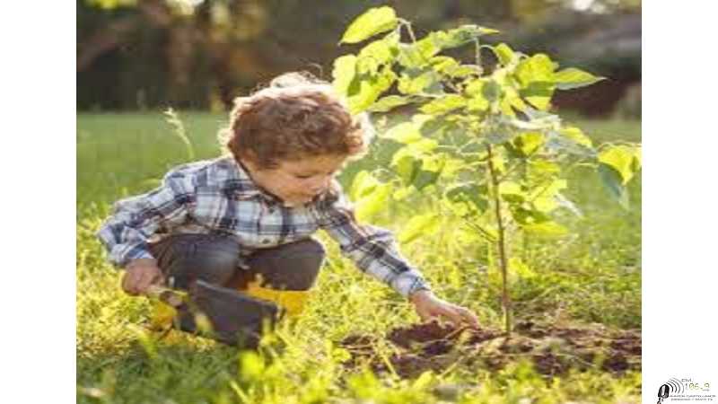  Martín Franconi, programa plantación de árboles por cada bebe nacido en Esperanza (Ver video)