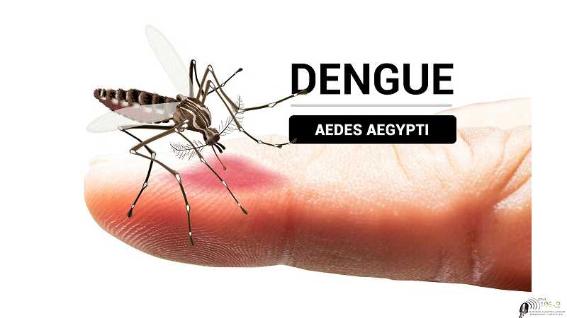 En Esperanza ya hay infectados por el Dengue
