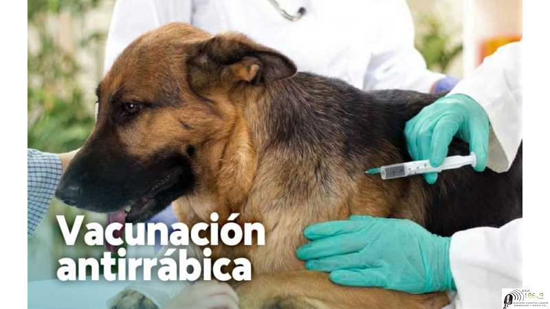 Vacunación un trabajo del Municipio y un agradecimiento de los vecinos ( ver video)