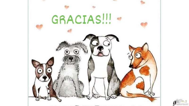 Comunicado de Aepa la cuota societaria a partir del mes de julio será de $1000.comunicarte con Euge al 3496-545803