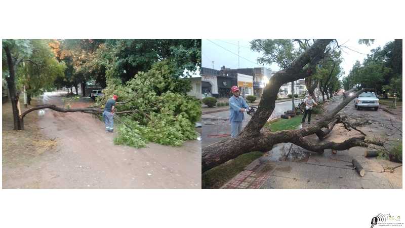 Tormentas del sábado trajo inconvenientes a la ciudad