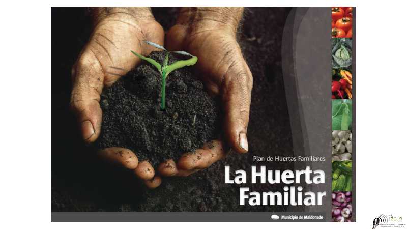 Apertura de las inscripciones para el 20° Concurso a la Mejor Huerta Familiar que comienza este martes 22 de noviembre