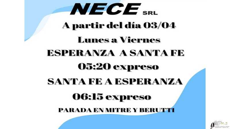 Informes de empresa NECE
