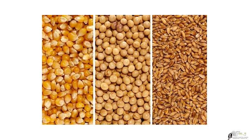 Mercado de granos valores y cotizaciones del fin de semana 5/ 8 /2022