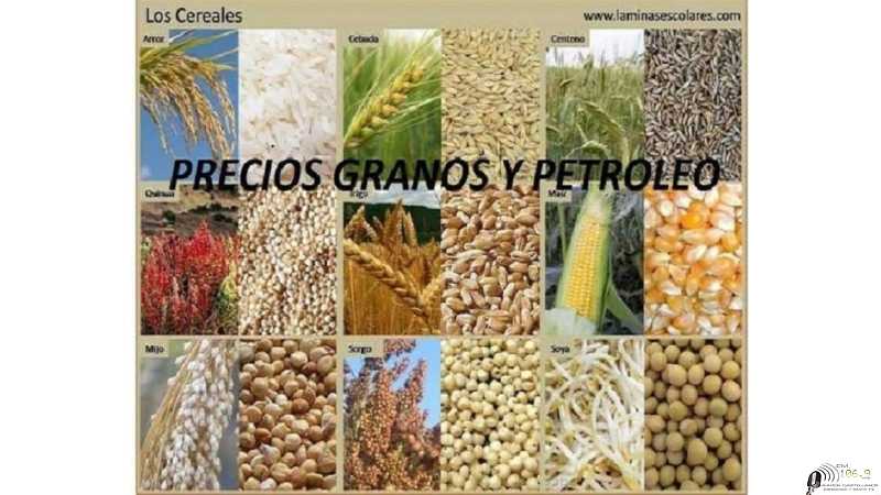 Cierres en Rosario cotización granos - dolar 14-8-26