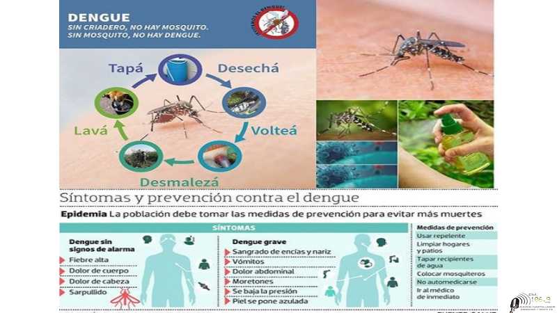 Sin criaderos, no hay mosquitos, sin mosquinos no hay Dengue